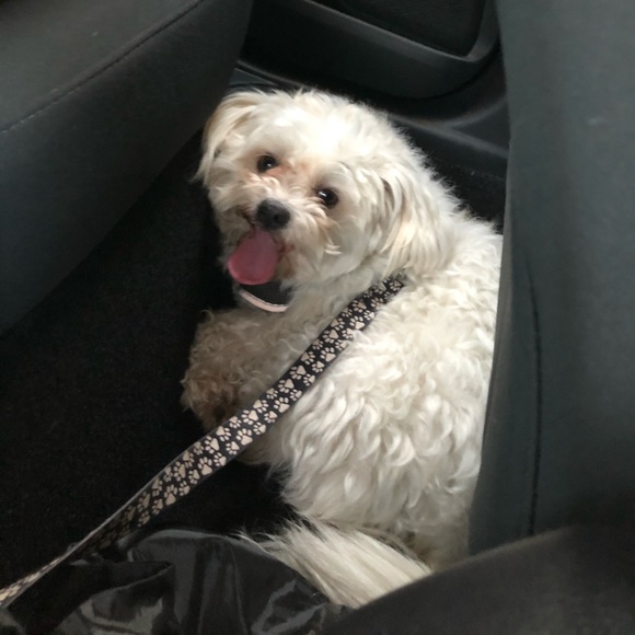 Meet your Posher, Claudia - Picture 1 of 1